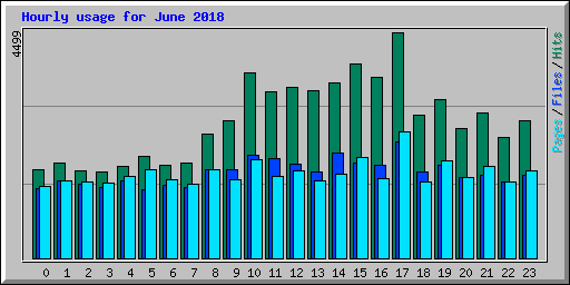 Hourly usage for June 2018